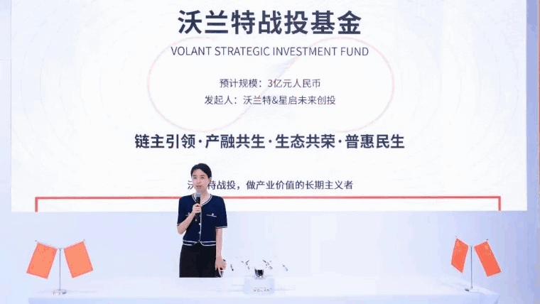 沃兰特.gif
