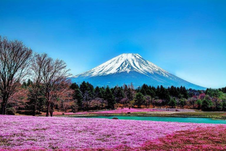 日本