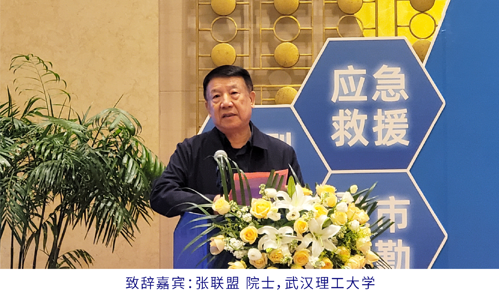 1762140526517005.png zhang.png